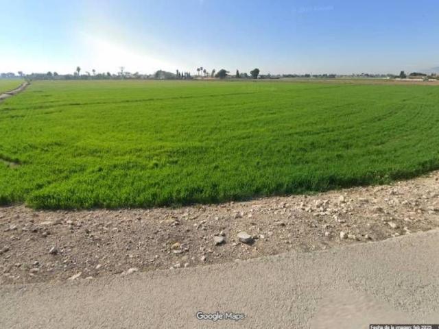 Terreno en venta en el Baix Segura / La Vega Baja, Valencia