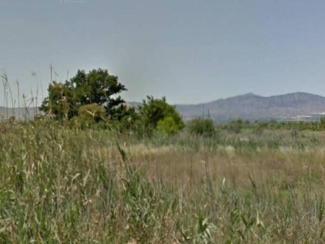 Terreno en venta en el Baix Segura / La Vega Baja, Valencia