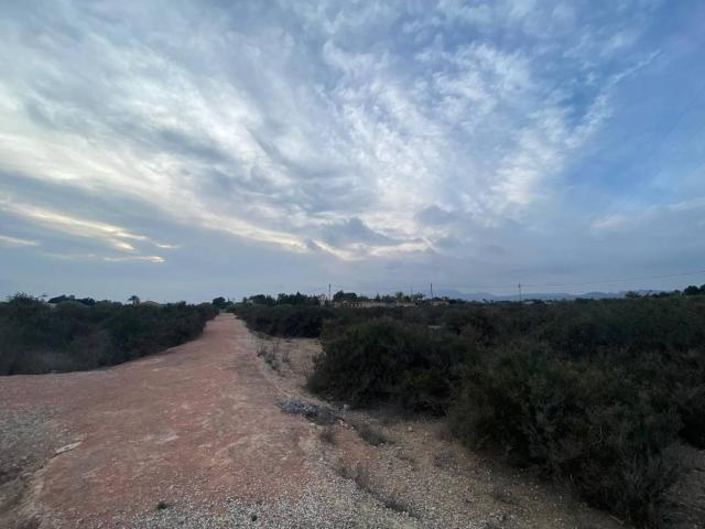 Terreno en venta en el Baix Segura / La Vega Baja, Valencia