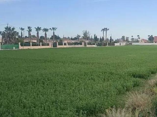 Terreno en venta en el Baix Segura / La Vega Baja, Valencia