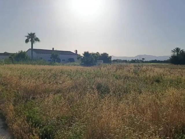 Terreno en venta en el Baix Segura / La Vega Baja, Valencia