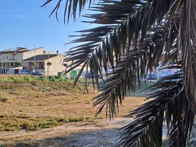 Terreno en venta en el Baix Segura / La Vega Baja, Valencia