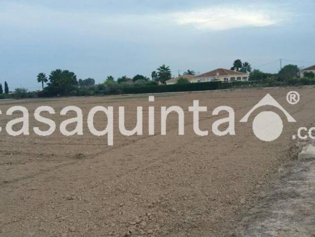 Terreno en venta en el Baix Segura / La Vega Baja, Valencia