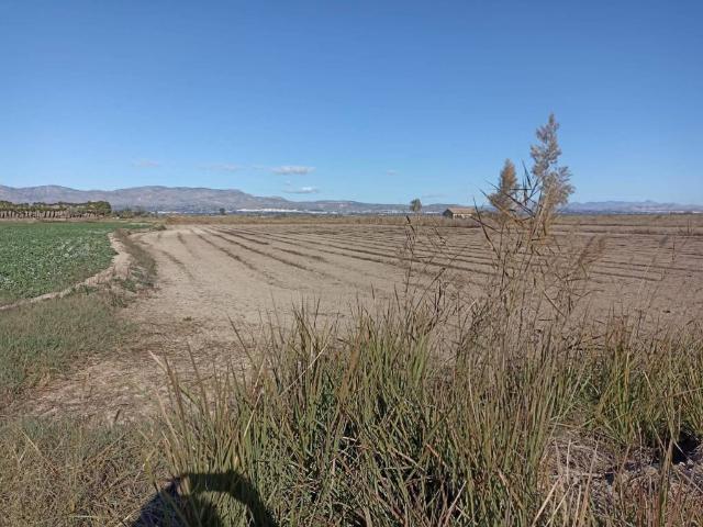 Terreno en venta en el Baix Segura / La Vega Baja, Valencia