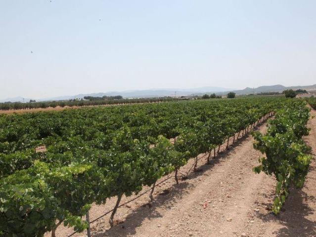 Terreno en venta en Caudete, Castilla-La Mancha