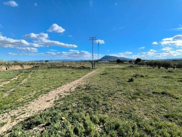 Terreno en venta en Caudete, Albacete