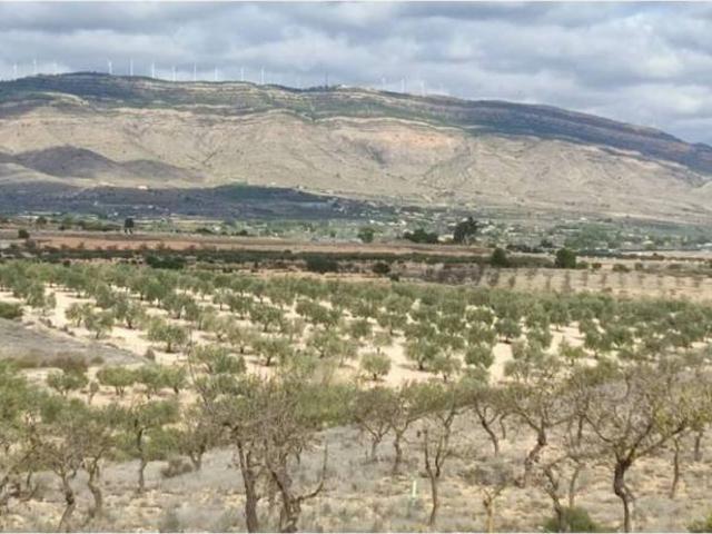 Terreno en venta en Caudete, Castilla-La Mancha