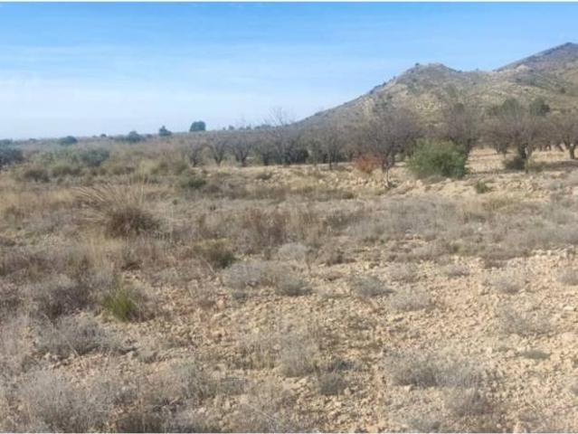 Terreno en venta en Caudete, Castilla-La Mancha