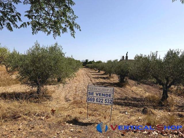 Terreno en venta en Caudete, Castilla-La Mancha