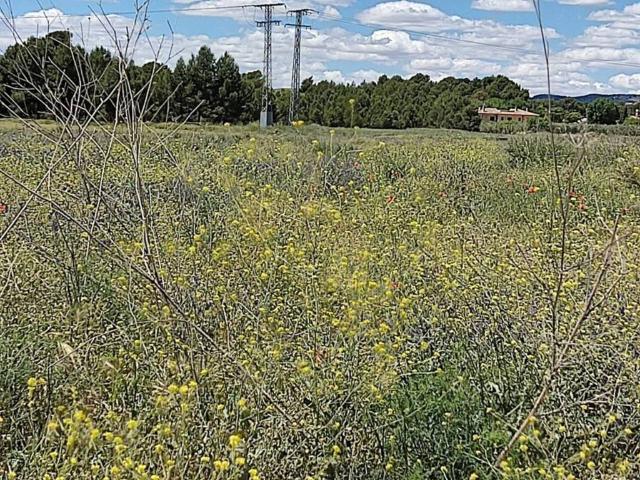 Terreno en venta en Caudete, Castilla-La Mancha