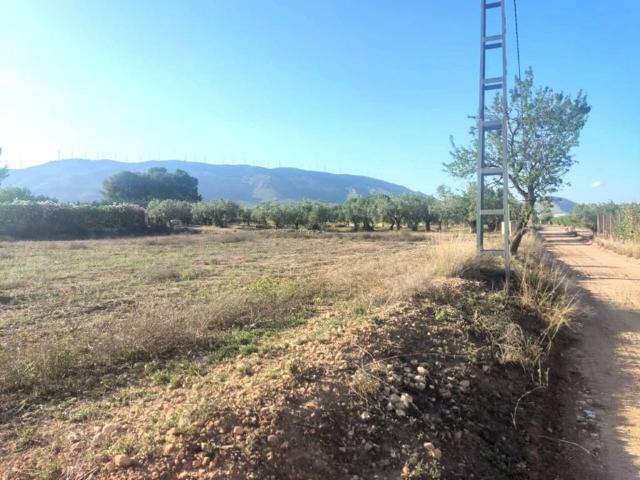 Terreno en venta en San Vicente, Caudete