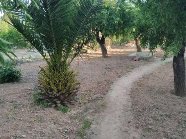 Terreno en venta en Caudete, Castilla-La Mancha