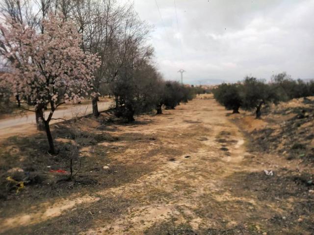 Terreno en venta en Caudete, Castilla-La Mancha