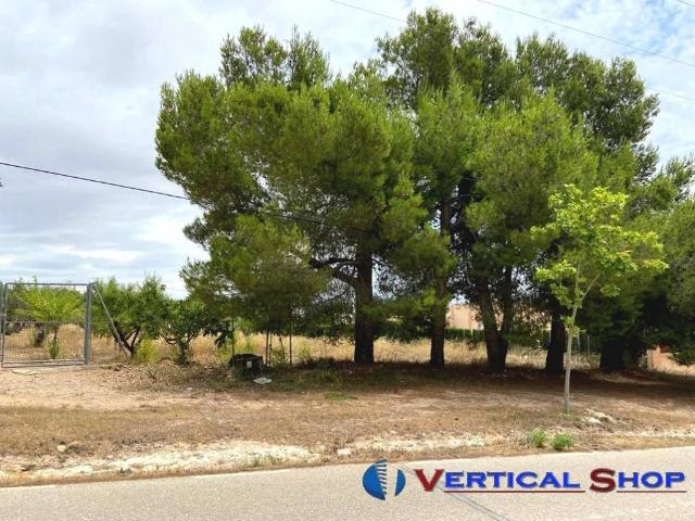 Terreno en venta en Caudete, Castilla-La Mancha