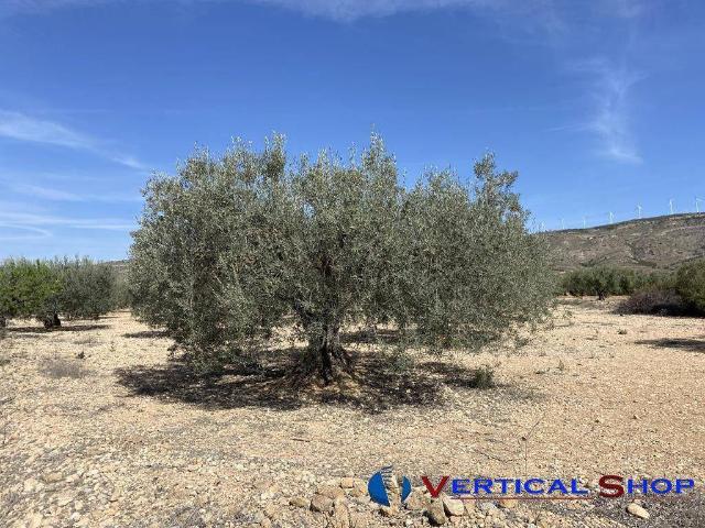 Terreno en venta en Caudete, Castilla-La Mancha