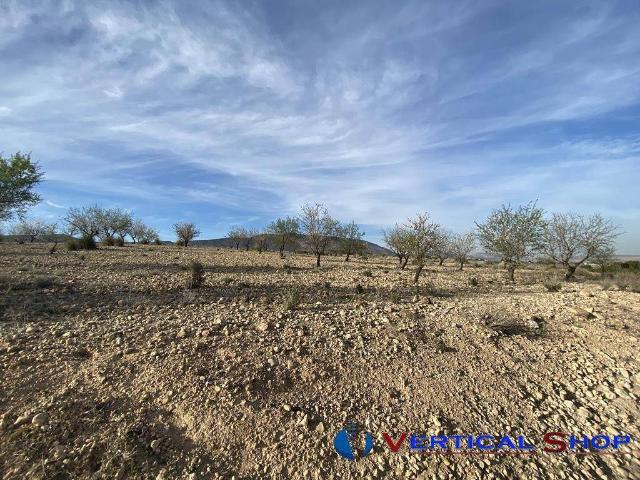 Terreno en venta en Caudete, Castilla-La Mancha