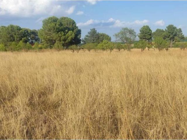 Terreno en venta en Caudete, Castilla-La Mancha