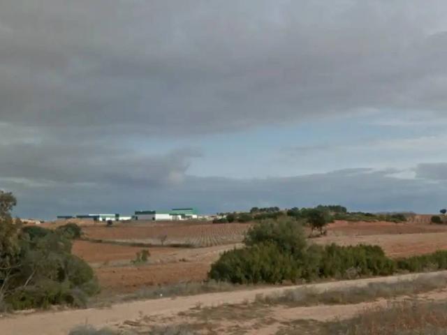 Terreno en venta en La Plana de Utiel-Requena, Valencia