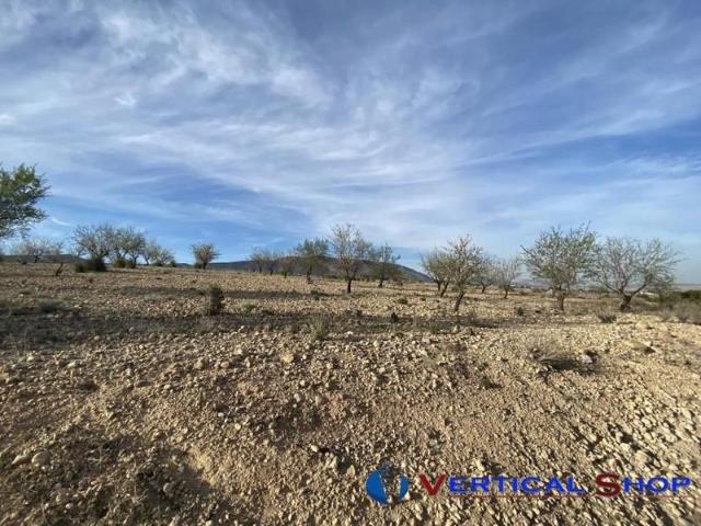 Terreno en venta en Caudete, Castilla-La Mancha