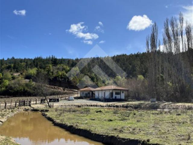 Terreno en Venta en Cauquenes