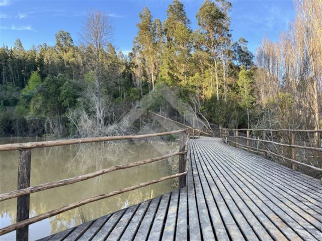 Terreno en Venta en Cauquenes