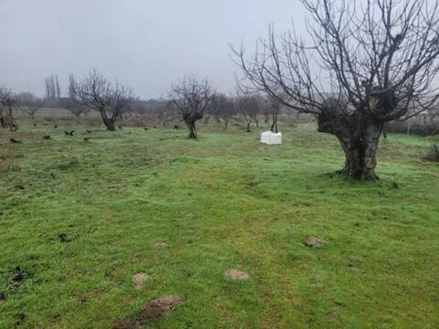 Terreno en venta en Cazalegas, Castilla-La Mancha