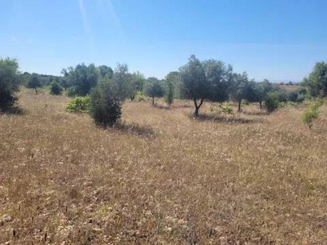 Terreno en venta en Cazalegas, Castilla-La Mancha