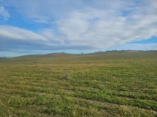 Terreno en venta en Cazalegas, Castilla-La Mancha