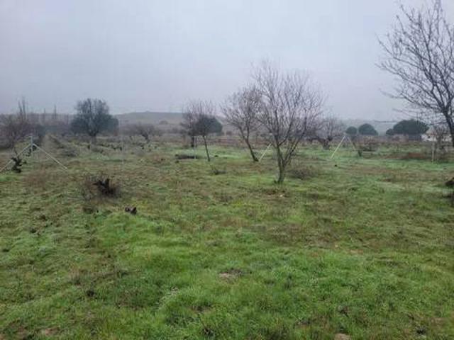 Terreno en venta en Cazalegas, Castilla-La Mancha