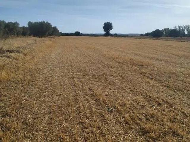 Terreno en venta en Cazalegas, Castilla-La Mancha