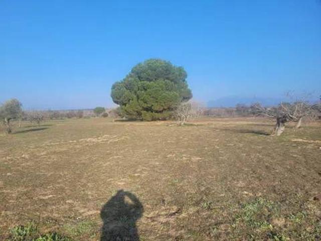 Terreno en venta en Cazalegas, Castilla-La Mancha