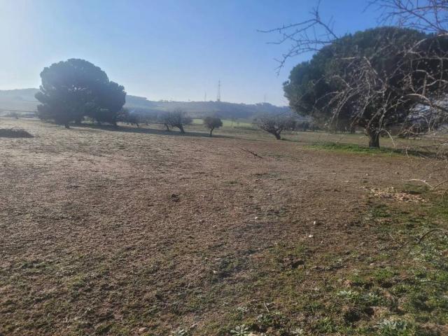 Terreno en venta en Cazalegas