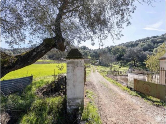 Terreno en venta en Cazalla De La Sierra, Andalucía