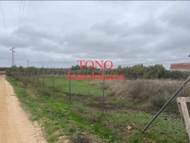 Terreno en venta en Cañada Rosal, Andalucía