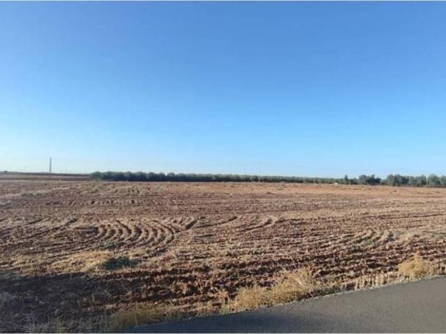 Terreno en venta en Cañada Rosal, Andalucía