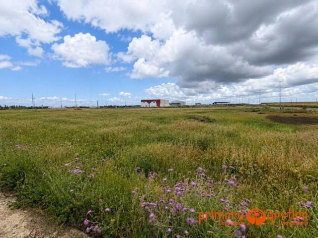 Terreno en venta en Cañada Rosal, Andalucía