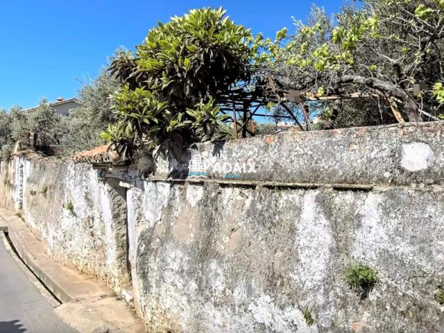 Terreno en venta en Cañaveral, Extremadura