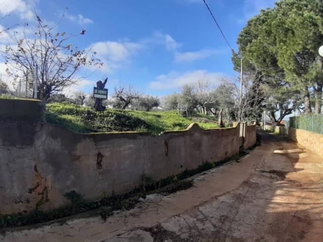 Terreno en venta en Cañaveral, Extremadura