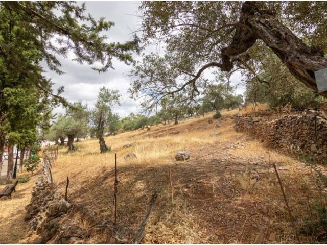 Terreno en venta en Sierra de Huelva, Andalucía