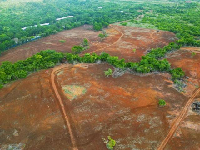Terreno en Venta en Cañazas Cañazas Veraguas