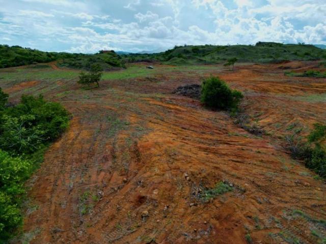 Terreno en Venta en Cañazas Cañazas Veraguas