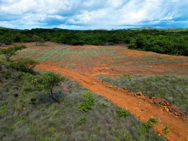 Terreno en Venta en Cañazas Cañazas Veraguas