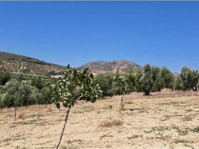 Terreno en venta en Guadalteba, Andalucía