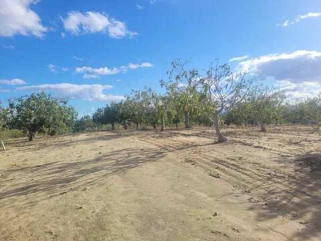 Terreno en venta en Cebolla, Castilla-La Mancha