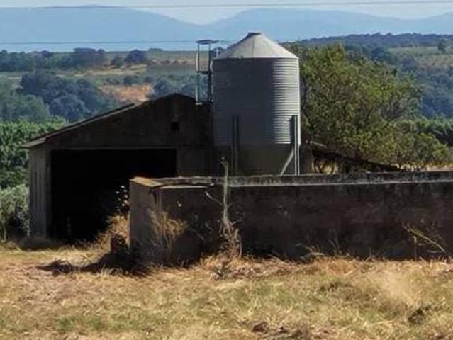 Terreno en venta en Cebolla, Castilla-La Mancha