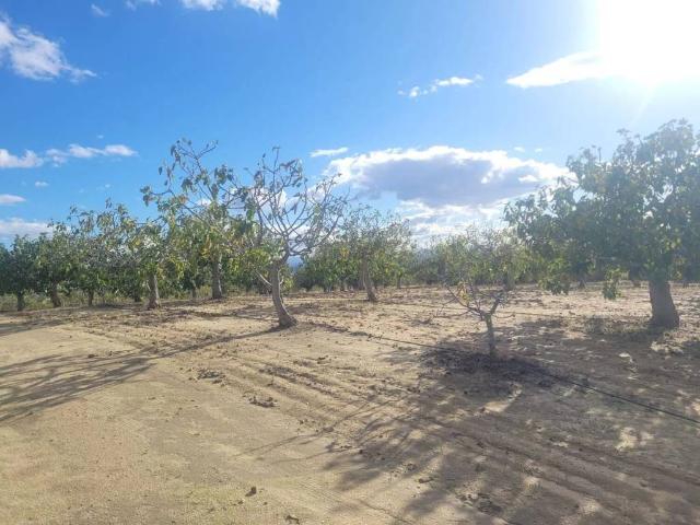 Terreno en venta en Cebolla, Toledo