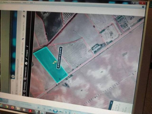 Terreno en venta en Cebolla, Castilla-La Mancha