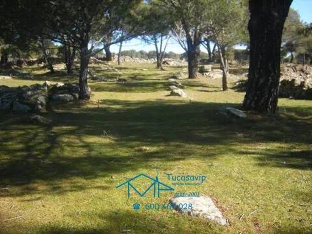 Terreno en venta en Cebreros, Castilla y León