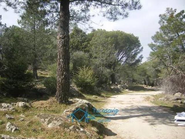 Terreno en venta en Cebreros, Castilla y León