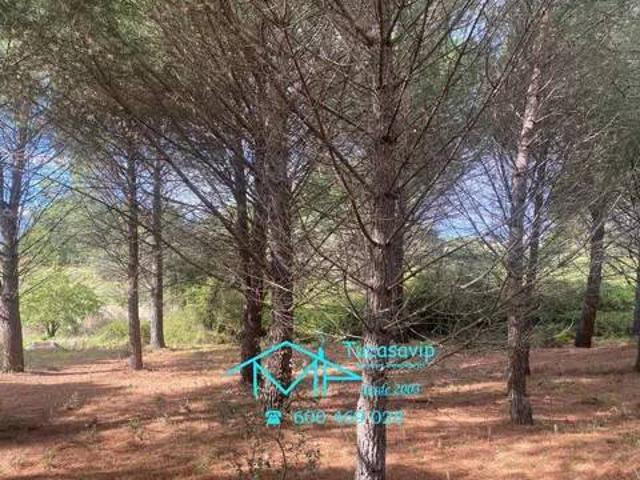 Terreno en venta en Cebreros, Castilla y León